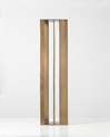 morphologies of verticality